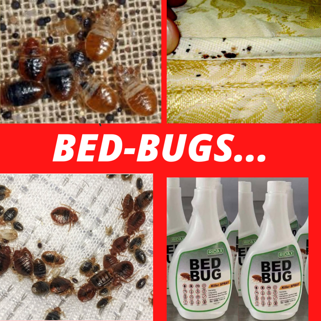 Get Rid Of Bed Bugs Today. FAST Acting ,Non-Toxic. Easy To Use